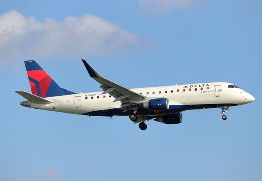Delta Connection